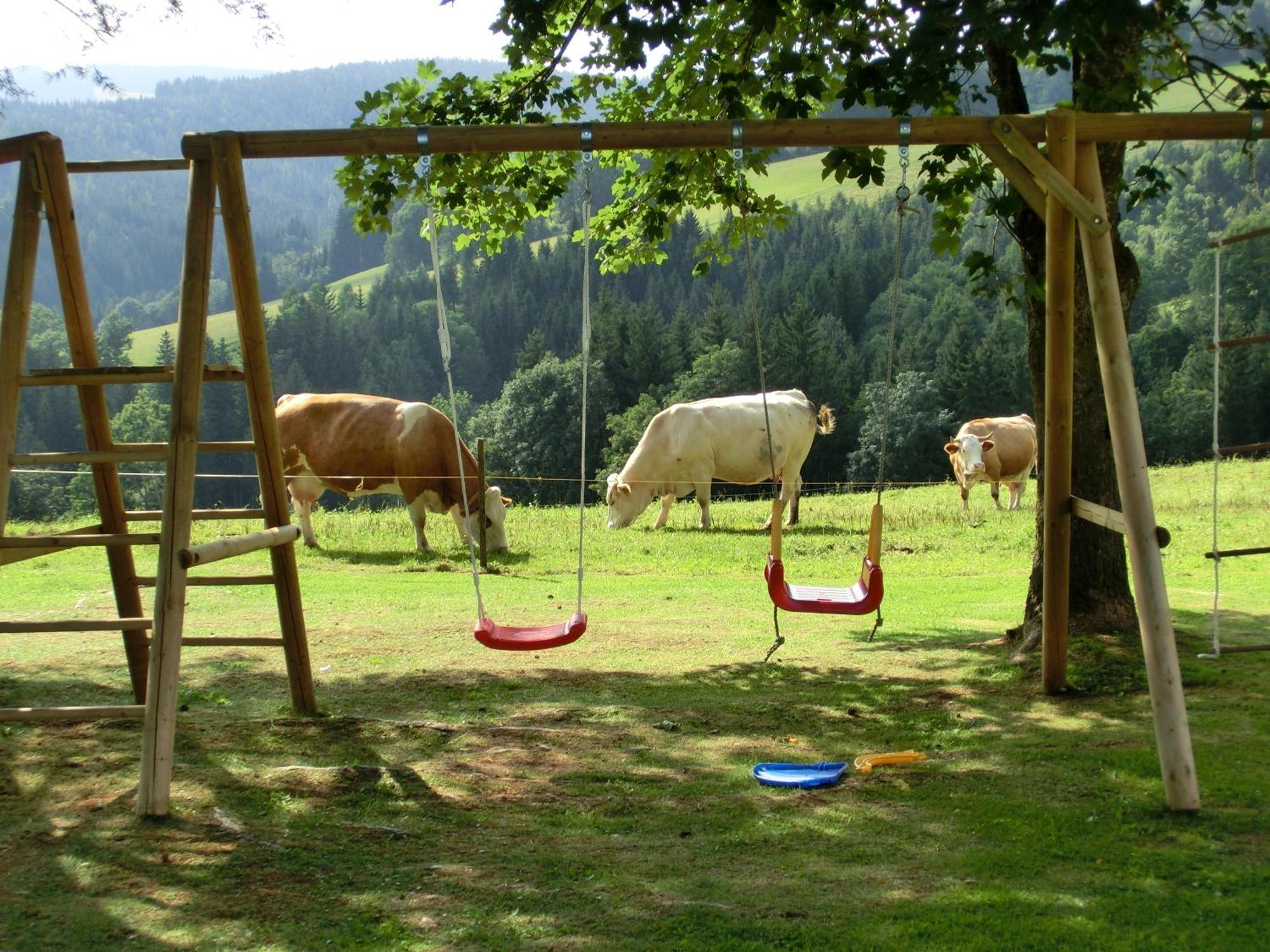 Kniebergerhof Villa Liebenfels Exteriör bild